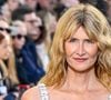 Laura Dern Défile à 58 Ans : Premier Pas Fashion d'une Icône du Cinéma