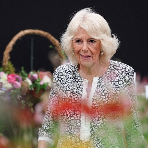 Reine Camilla et l’invasion de guêpes à Sandringham : secrets estivaux de la famille royale