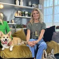 Animaux à adopter : TMC annonce la date des inédits avec Sandrine Arcizet et Élodie Ageron