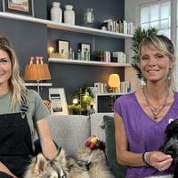 "Animaux à adopter" : L'émission arrive en prime sur CStar après son retour sur TMC
