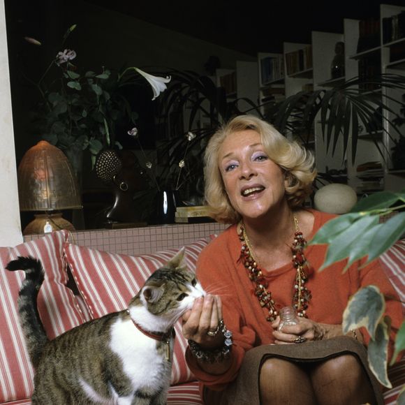 Micheline Presle : Une icône du cinéma français et son dernier refuge artistique