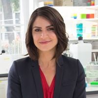 Sonia Chironi, une journaliste engagée entre carrière et vie de famille