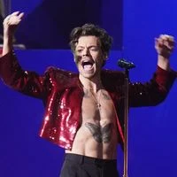 Harry Styles dévoile une ligne de sextoys avec sa marque Pleasing : un été torride garanti