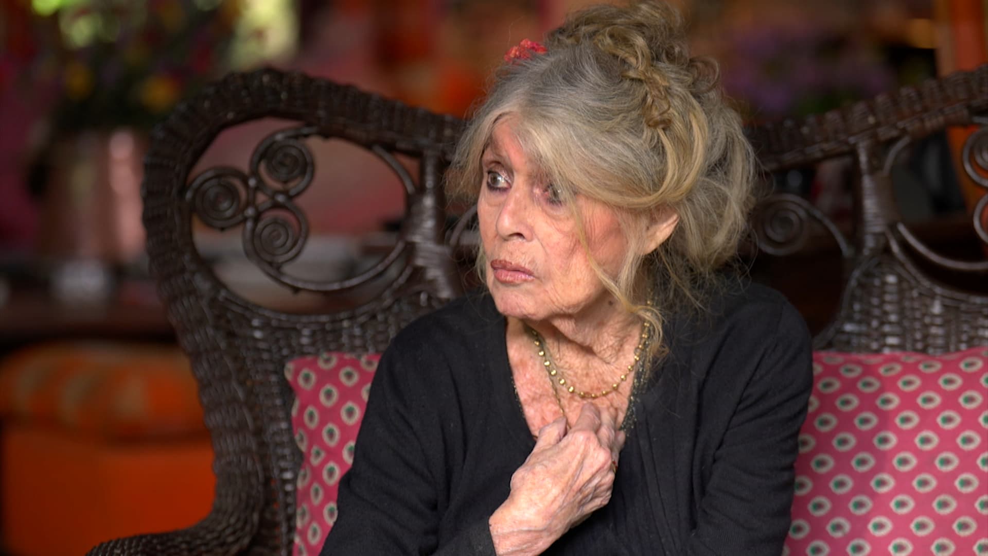 Brigitte Bardot à 91 ans : Elle dément les rumeurs de décès et rassure ses fans