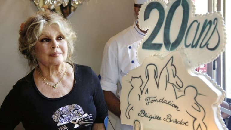Fondation Brigitte Bardot : alerte aux escroqueries post-décès