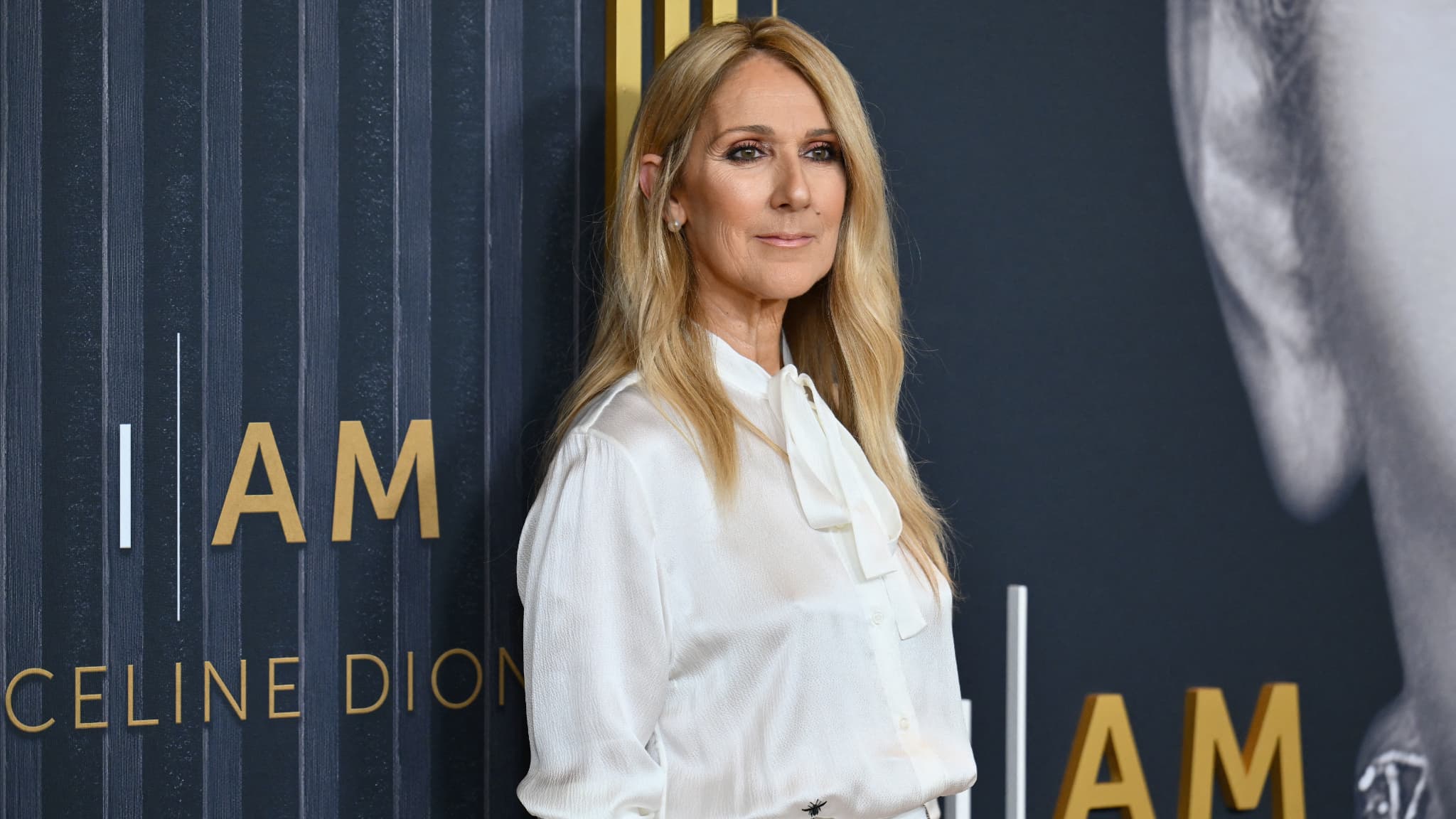 Céline Dion fait son entrée sur TikTok à 57 ans