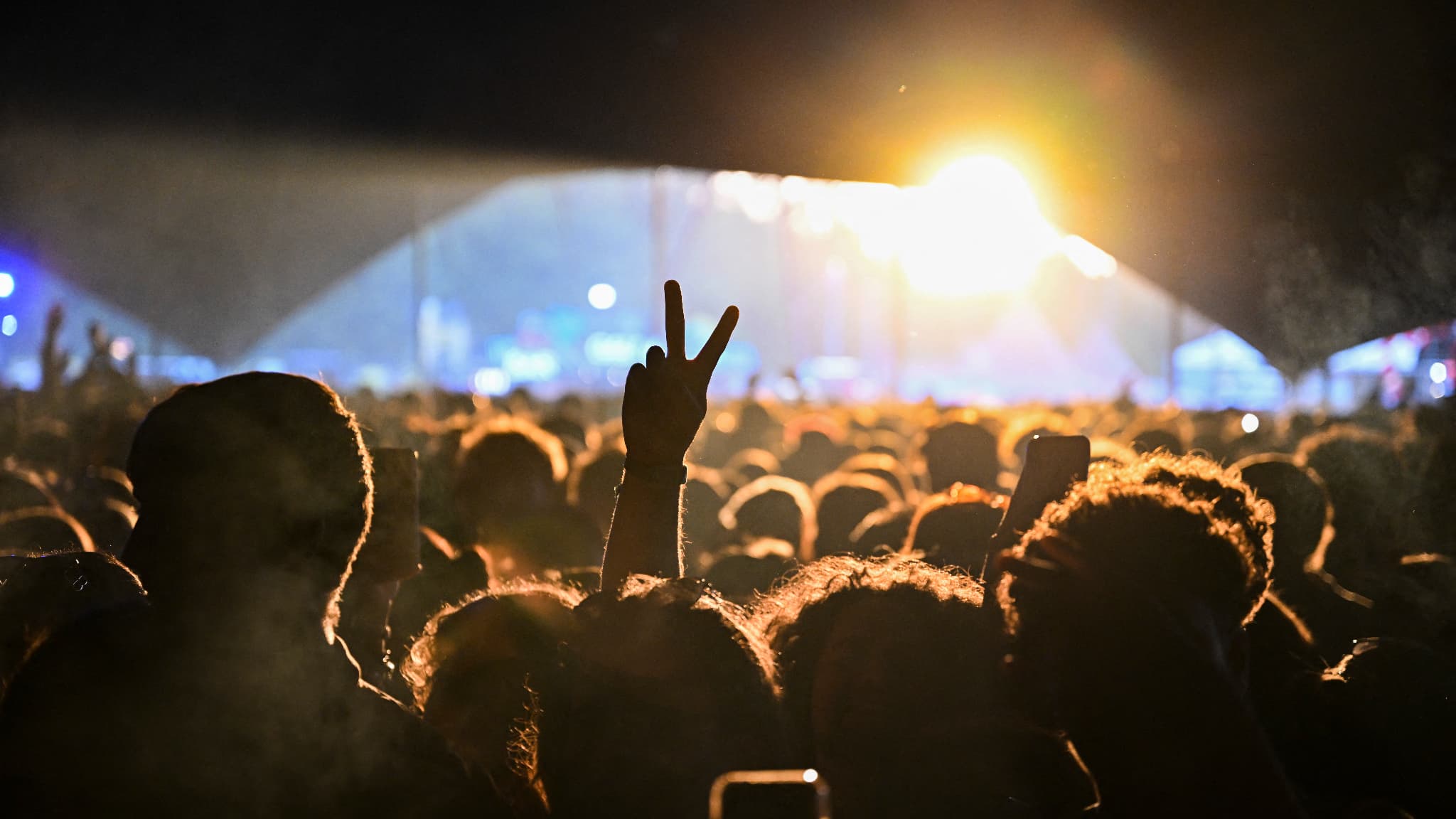 We Love Green 2026 : Programmation Explosive avec Gorillaz, The XX et Plus