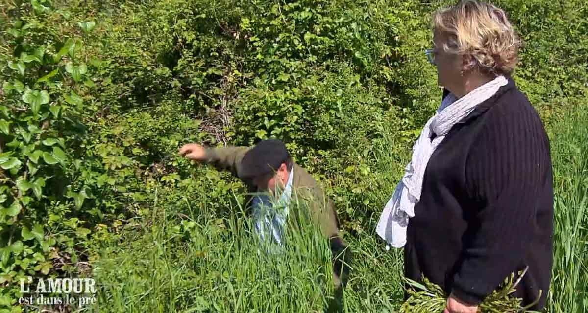 L’Amour est dans le Pré Saison 20 : Jean-Louis s’effondre et fuit Soso – Épisode choc du 27 octobre 2025