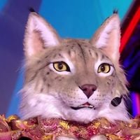 Mask Singer 2025 — Qui se cachait sous "Le Lynx" ? Révélé le 12 septembre sur TF1