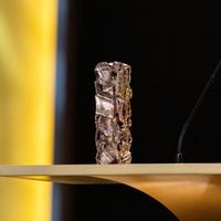 César 2026 : Benjamin Lavernhe, l'Animateur Inattendu pour une Cérémonie Épique