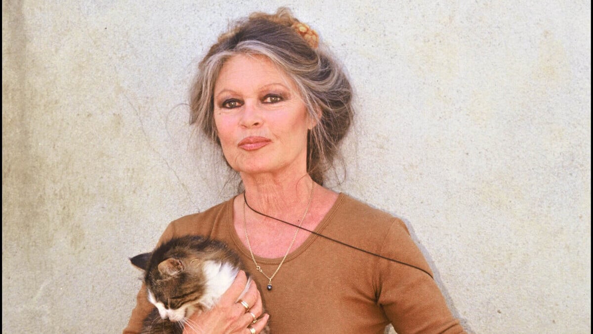 Brigitte Bardot : ses arrière-petits-enfants et la postérité familiale