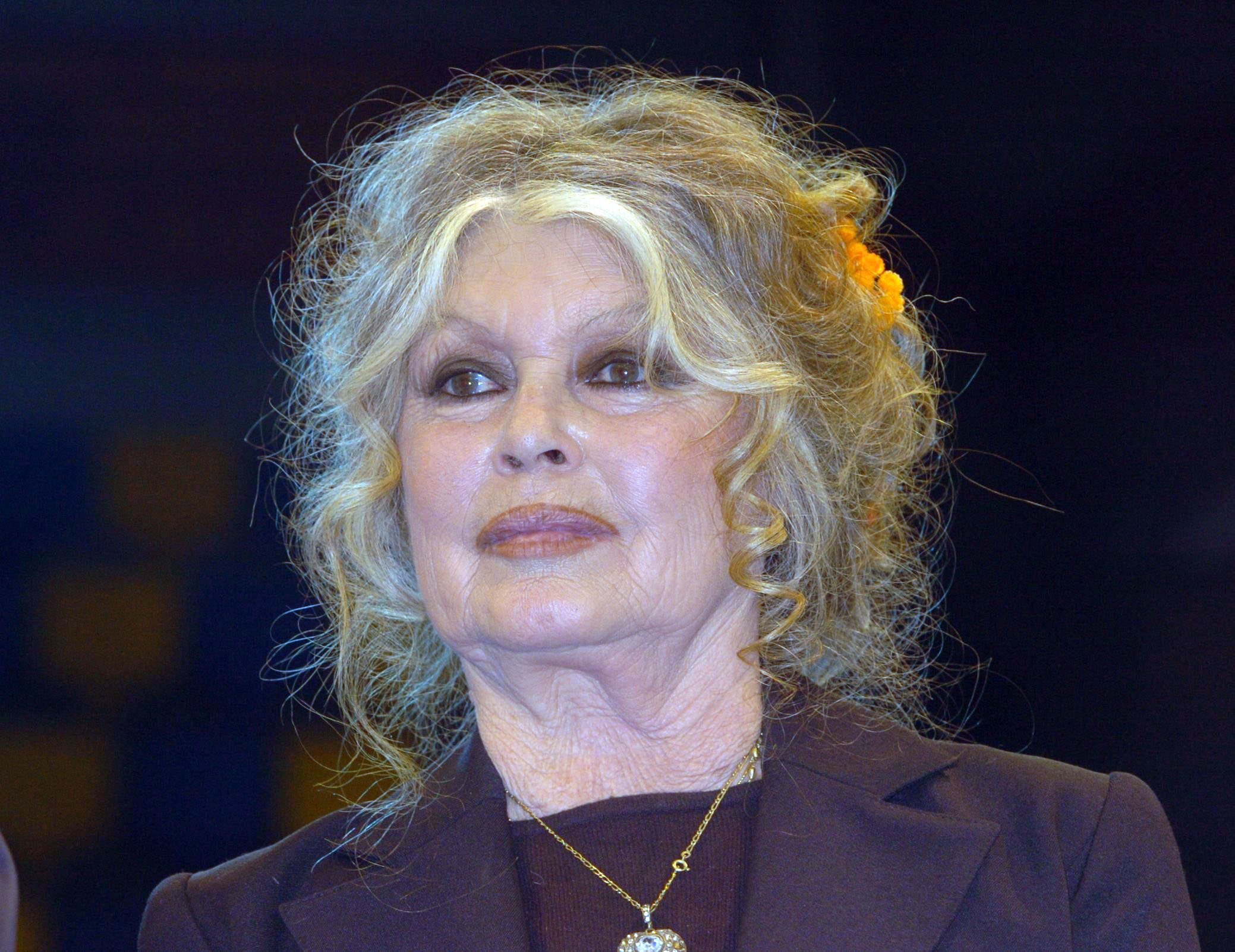 Brigitte Bardot hospitalisée à 91 ans en 2025 : les dernières nouvelles sur sa santé fragile