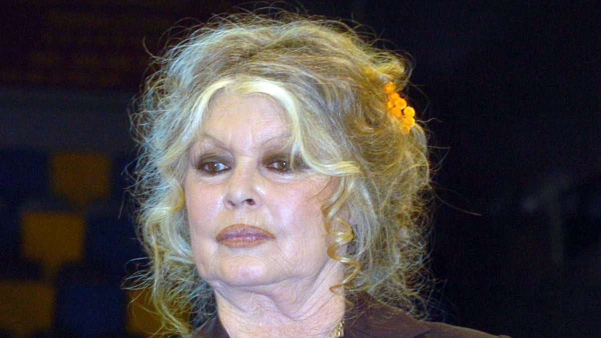 Brigitte Bardot : Rassure sur son État de Santé et Partage un Message d'Amour
