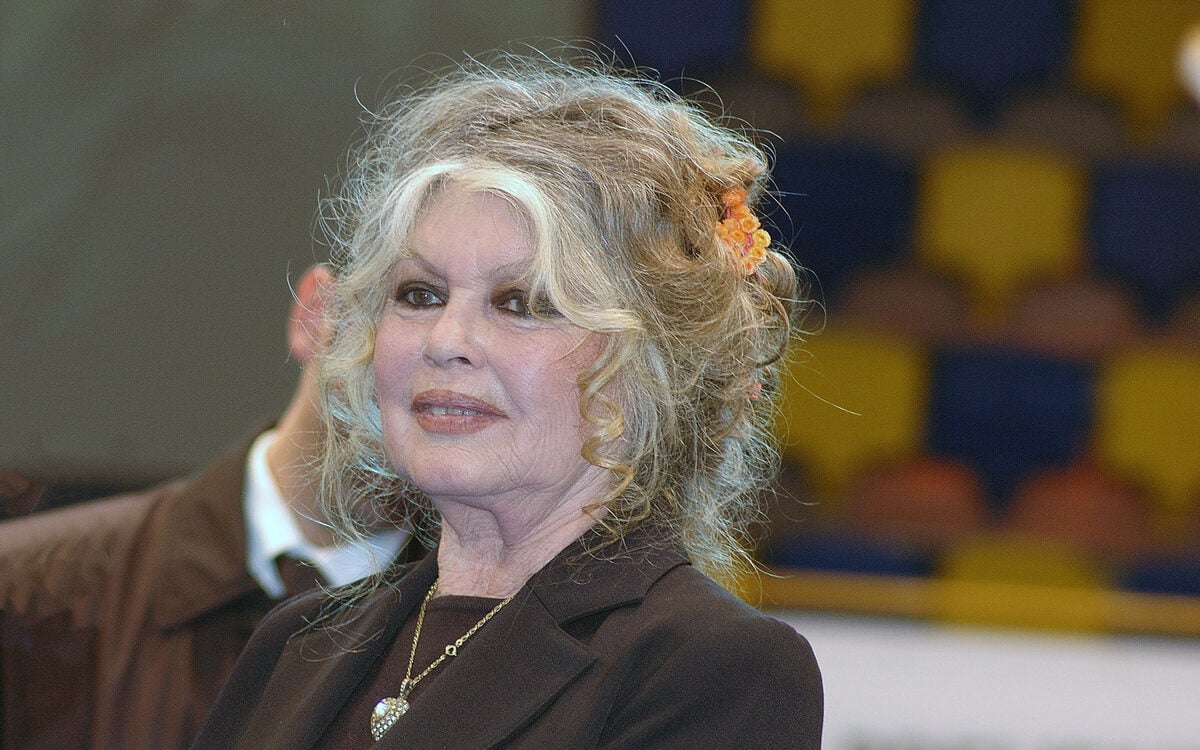 Mort de Brigitte Bardot : quelle était réellement sa fortune ?