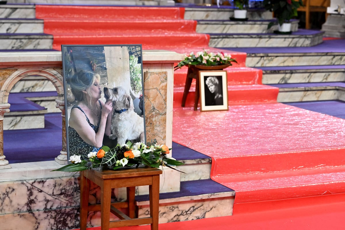 Obsèques de Brigitte Bardot : Chico réagit aux absences