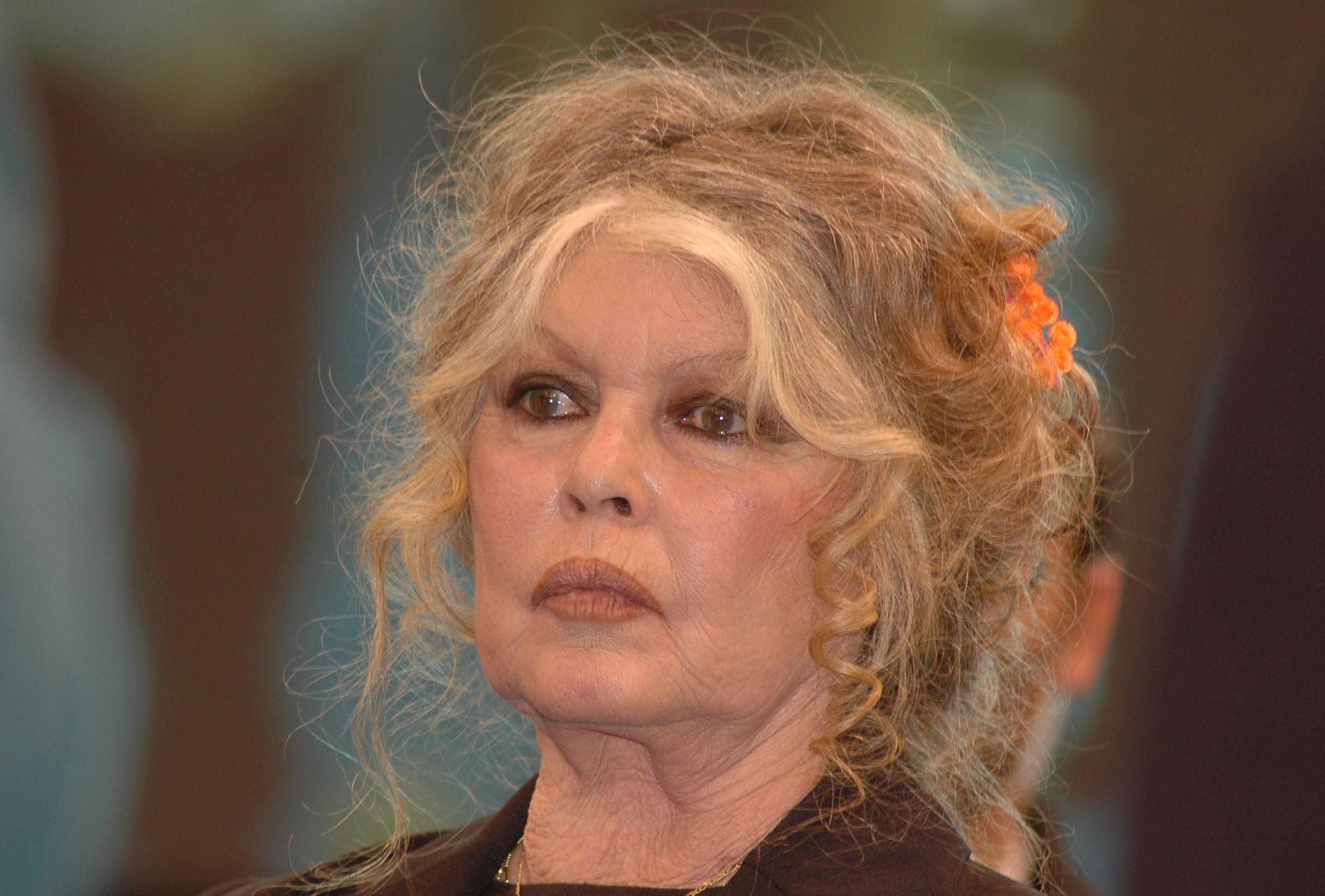 Brigitte Bardot s’éteint à 91 ans : ses derniers mots révélés