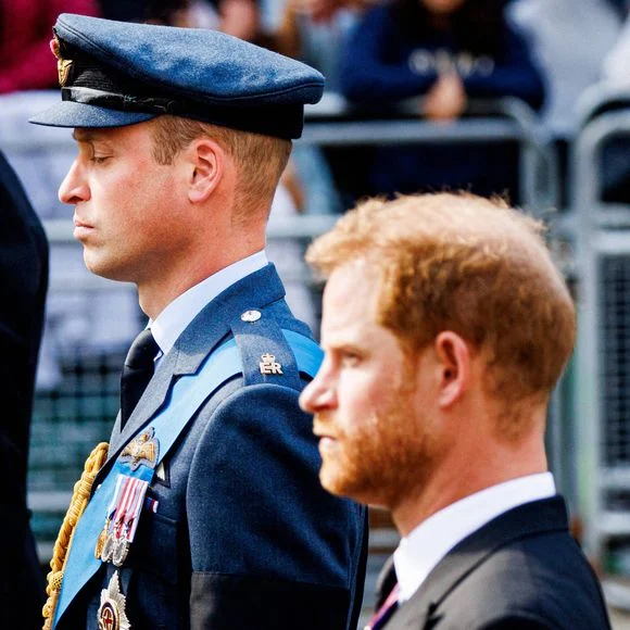 William & Harry : Pourquoi les fils de Diana n'ont pas hérité du domaine d'Althorp ?