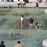 TF1, Evelyne Dhéliat réagit à la canicule et divise l'opinion