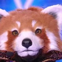 Mask Singer 2025 : Le Panda Roux démasqué - Romane Dicko révélée