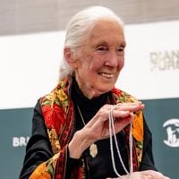 Hommage à Jane Goodall : France 5 modifie sa grille pour célébrer la primatologue