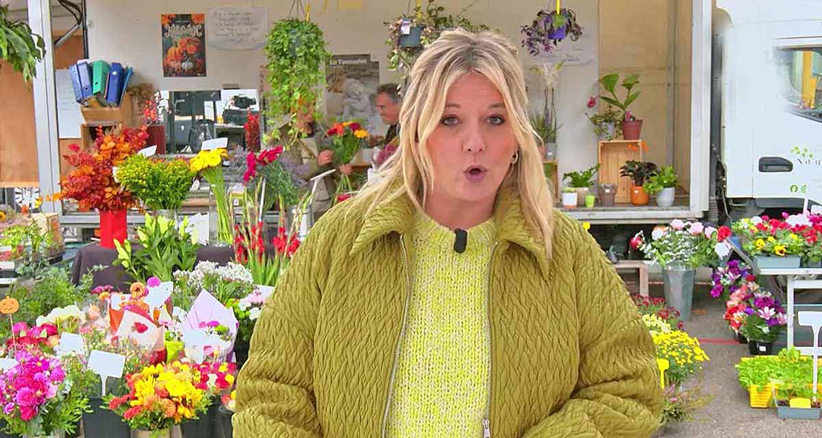 Flavie Flament : Fiasco Audiences sur France 3