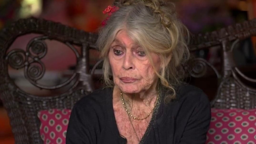 Brigitte Bardot Vivante en 2025 : Rumeur de Mort Démentie par l’Actrice et Henry-Jean Servat