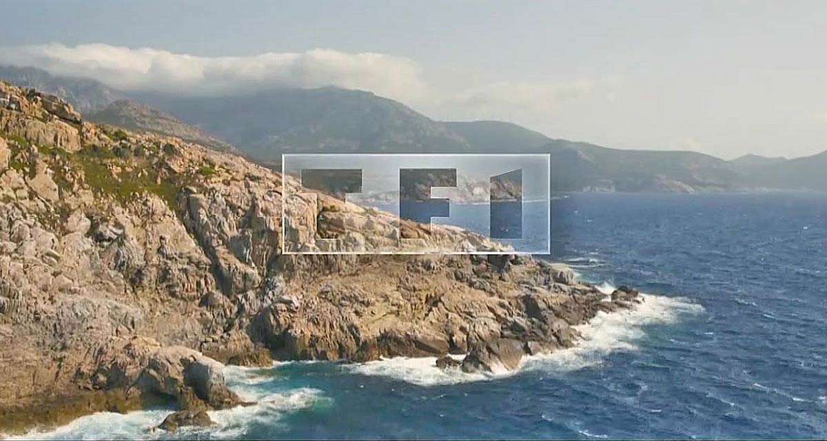 TF1 : Section de recherches en chute libre dans les audiences