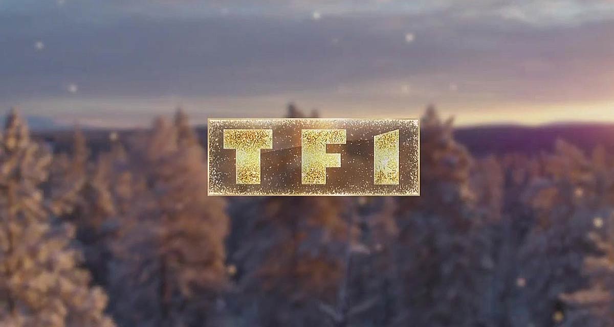 TF1 : une série américaine tourne au fiasco