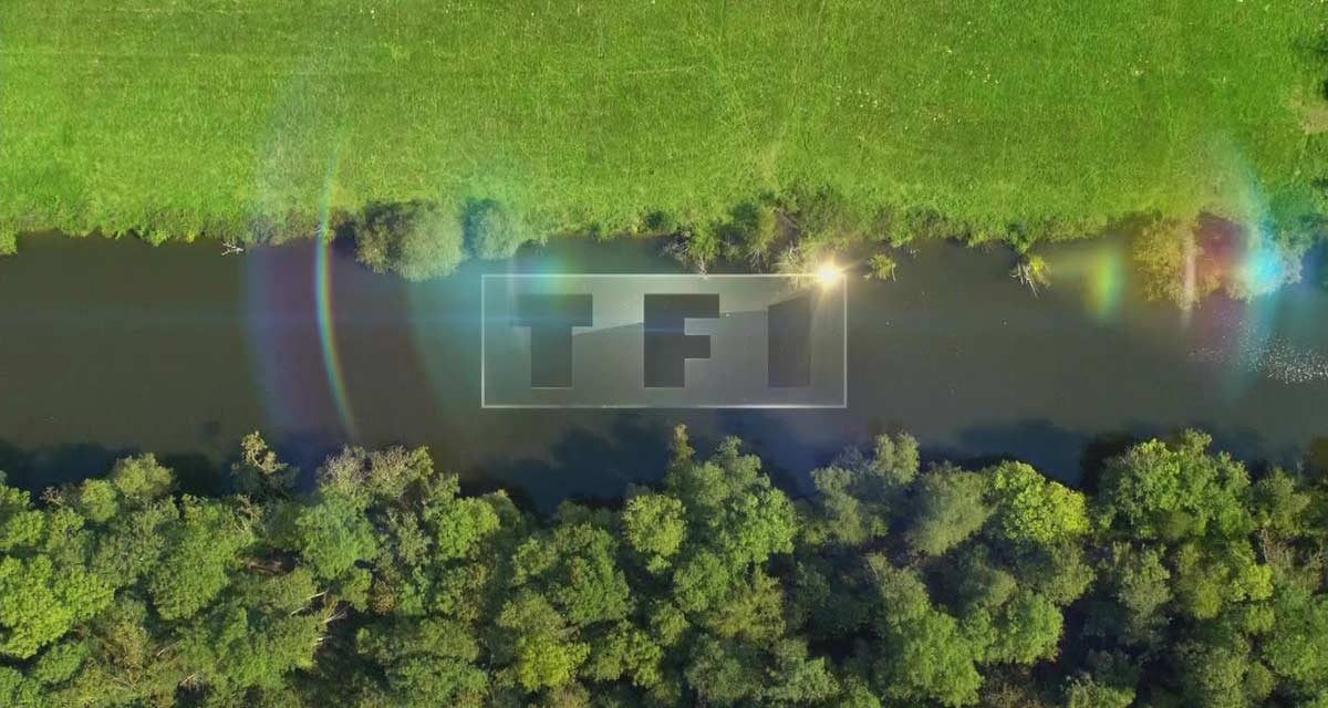 TF1 fragilisée : pourquoi « Bonjour ! Avec vous » décroche déjà
